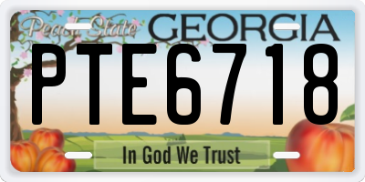 GA license plate PTE6718