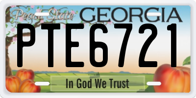 GA license plate PTE6721