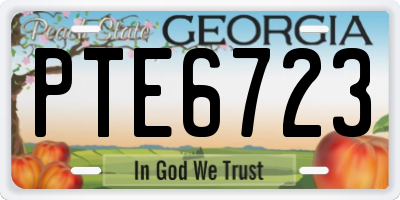 GA license plate PTE6723