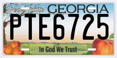 GA license plate PTE6725
