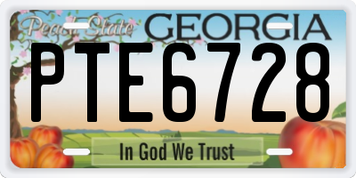 GA license plate PTE6728