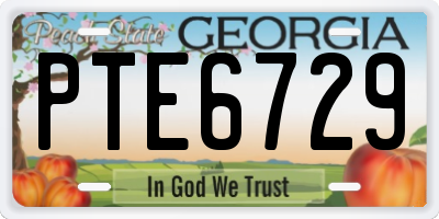 GA license plate PTE6729