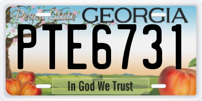 GA license plate PTE6731