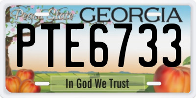 GA license plate PTE6733