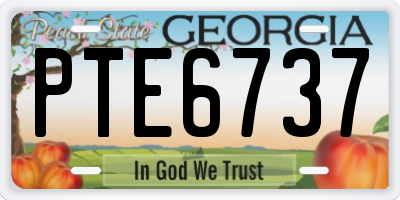 GA license plate PTE6737