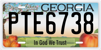 GA license plate PTE6738
