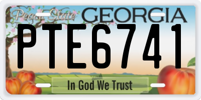 GA license plate PTE6741