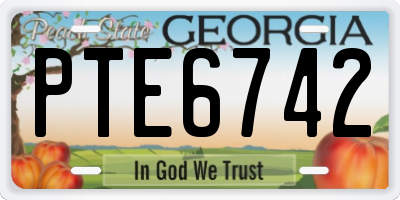 GA license plate PTE6742