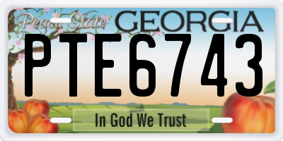 GA license plate PTE6743