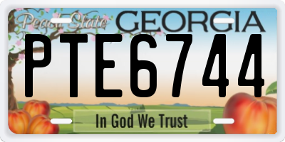 GA license plate PTE6744