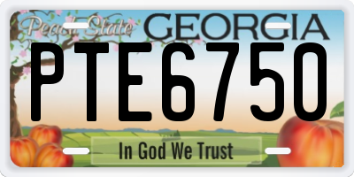 GA license plate PTE6750