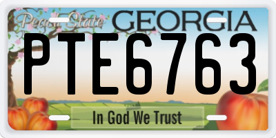 GA license plate PTE6763