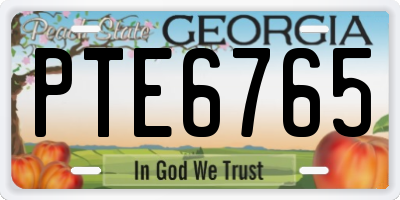 GA license plate PTE6765
