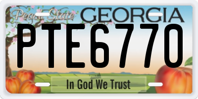 GA license plate PTE6770