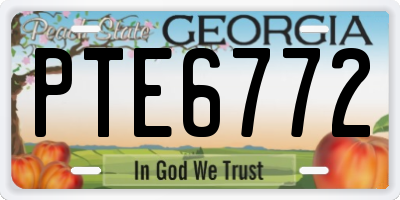GA license plate PTE6772