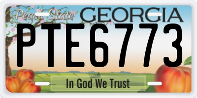 GA license plate PTE6773