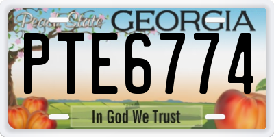 GA license plate PTE6774