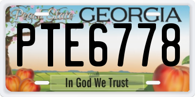 GA license plate PTE6778