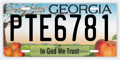 GA license plate PTE6781