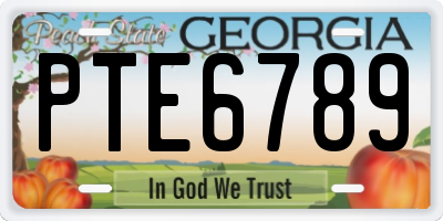 GA license plate PTE6789