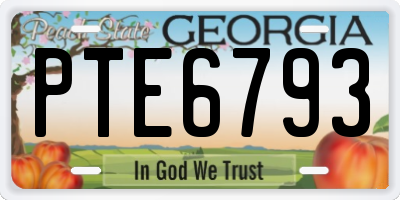 GA license plate PTE6793