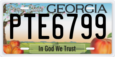 GA license plate PTE6799