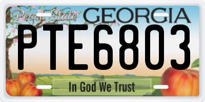 GA license plate PTE6803