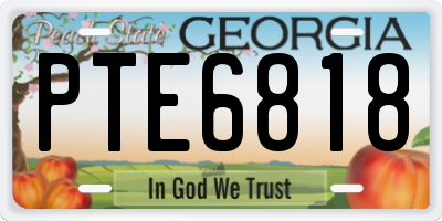 GA license plate PTE6818