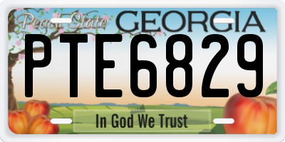 GA license plate PTE6829