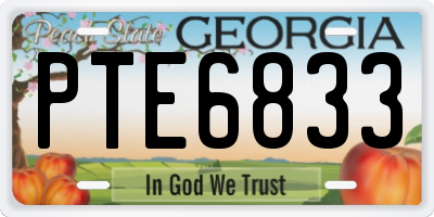 GA license plate PTE6833