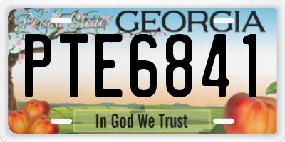 GA license plate PTE6841