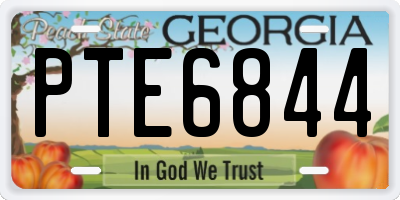GA license plate PTE6844