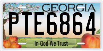 GA license plate PTE6864