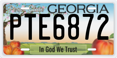 GA license plate PTE6872