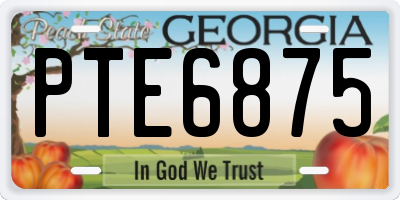 GA license plate PTE6875