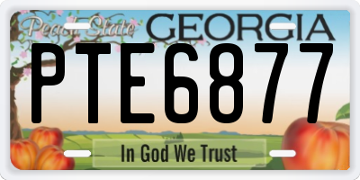 GA license plate PTE6877