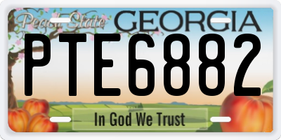 GA license plate PTE6882