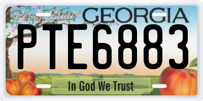 GA license plate PTE6883