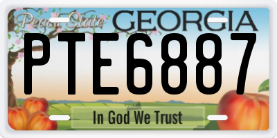 GA license plate PTE6887