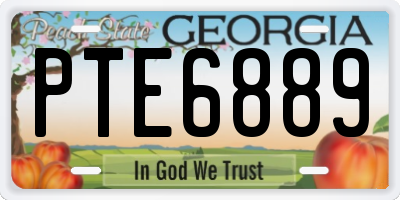 GA license plate PTE6889