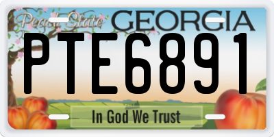 GA license plate PTE6891