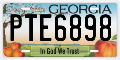 GA license plate PTE6898