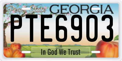 GA license plate PTE6903