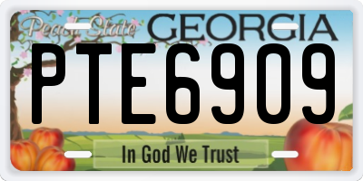 GA license plate PTE6909