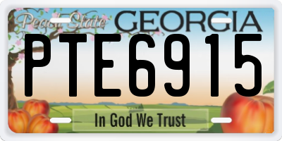 GA license plate PTE6915