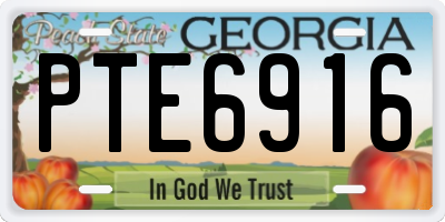 GA license plate PTE6916