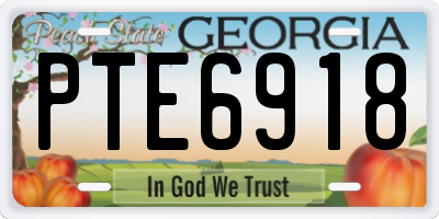 GA license plate PTE6918