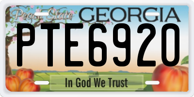 GA license plate PTE6920