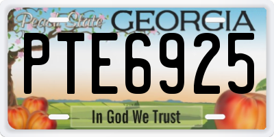 GA license plate PTE6925