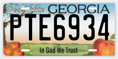 GA license plate PTE6934